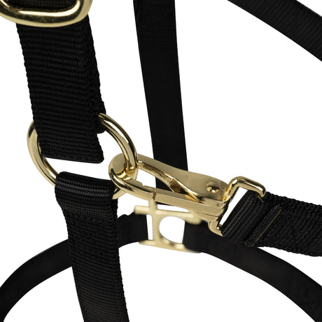 Poly Horse Halter, Non-Adjustable with Throat Snap, Weanling to Large