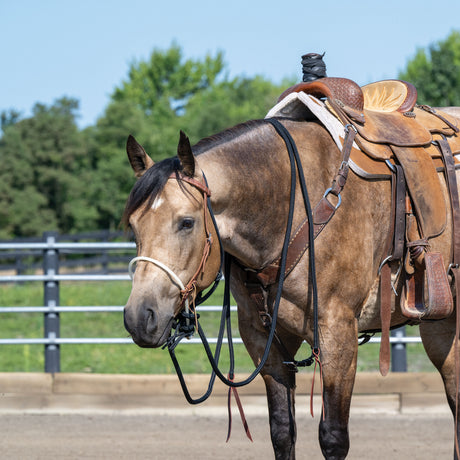 Loping Hackamore: Rope Noseband, Leather Hanger with Silvertip Split Reins