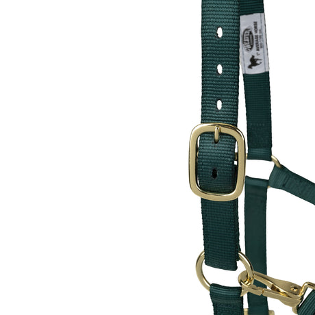 Poly Horse Halter, Non-Adjustable with Throat Snap, Weanling to Large