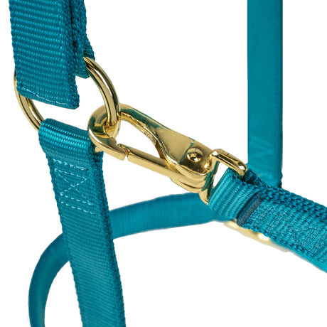Poly Horse Halter, Adjustable, Weanling to Large