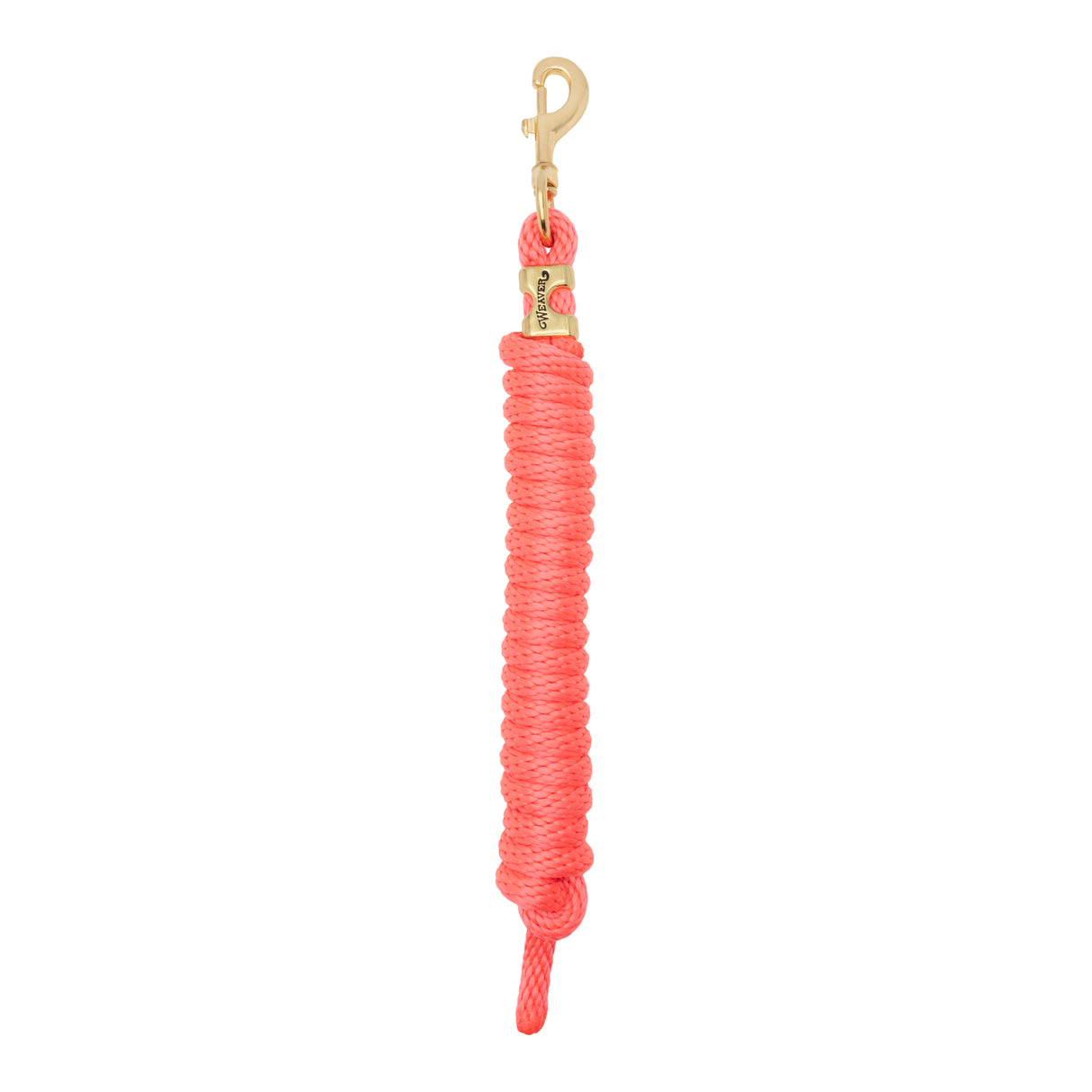 Poly Lead Rope with a Solid Brass 225 Snap