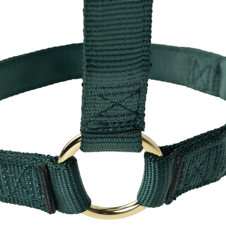 Poly Horse Halter, Non-Adjustable with Throat Snap, Weanling to Large