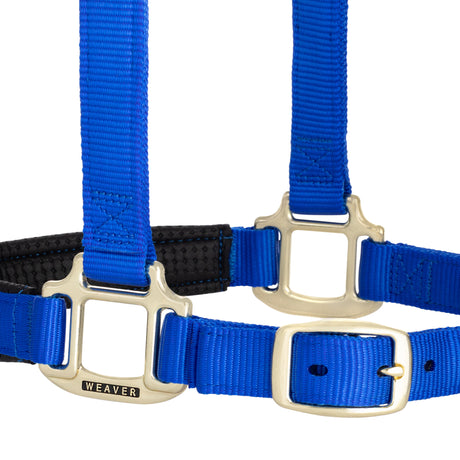 Original Padded Breakaway Halter Adjustable Chin, Throat Snap