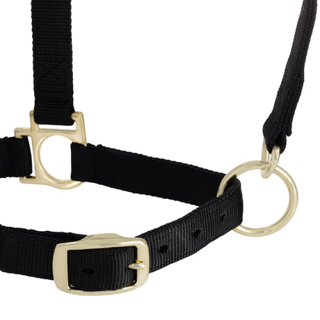 Basic Adjustable Chin and Throat Snap Halter