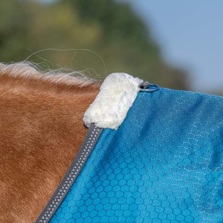Premium Turnout Blanket, Medium Weight 200g, 600D