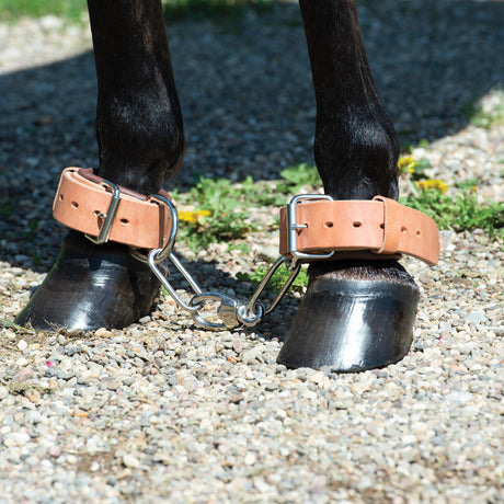 Heavy-Duty Hobble, Leather