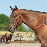 Oiled Hermann Oak Harness Leather Browband Headstall with Floral Conchos