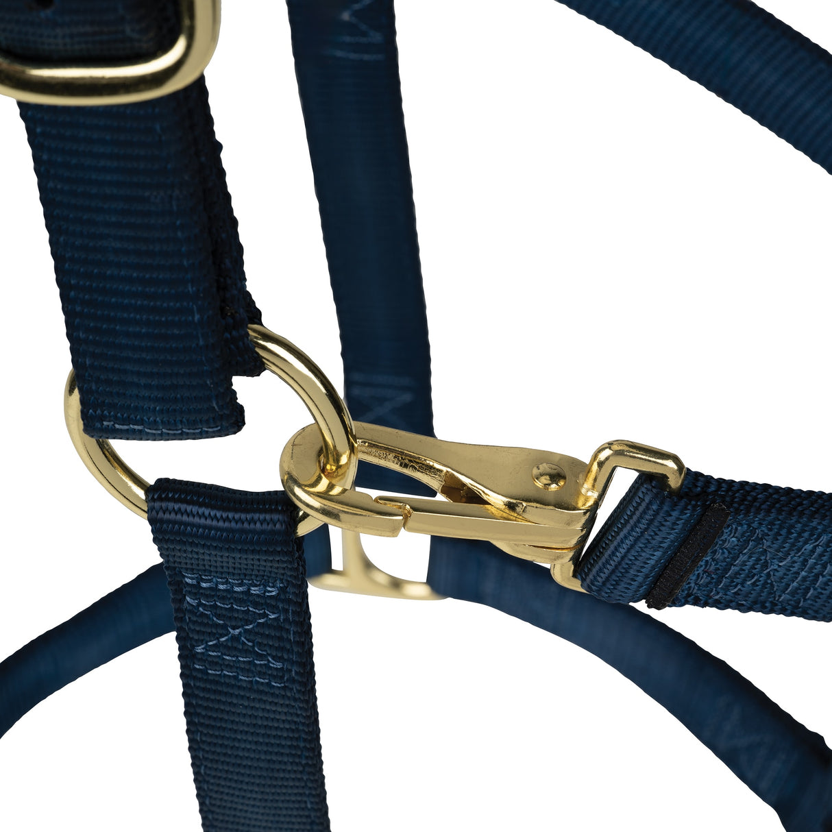 Poly Horse Halter, Non-Adjustable with Throat Snap, Weanling to Large