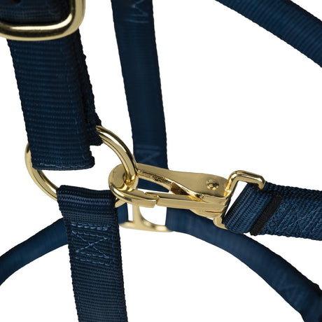 Poly Horse Halter, Non-Adjustable with Throat Snap, Weanling to Large