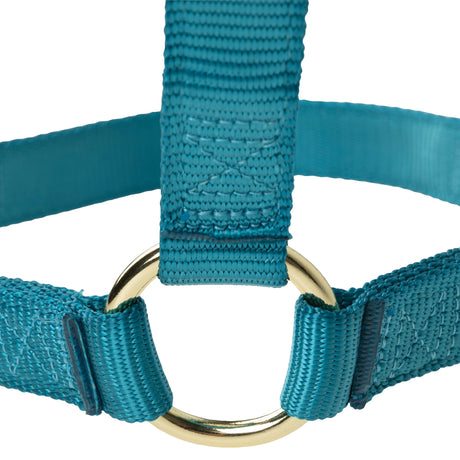 Poly Horse Halter, Non-Adjustable, Weanling to Large