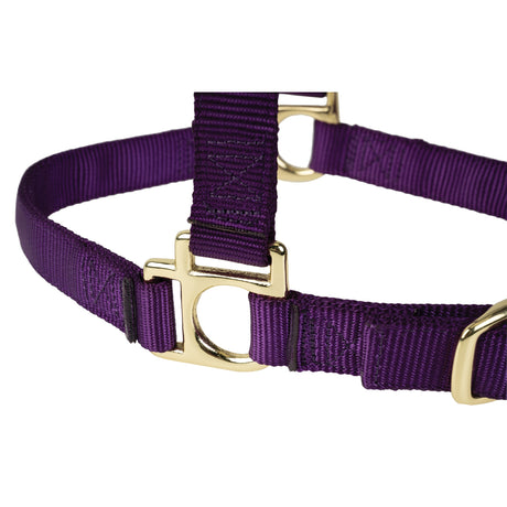Poly Horse Halter, Adjustable, Weanling to Large