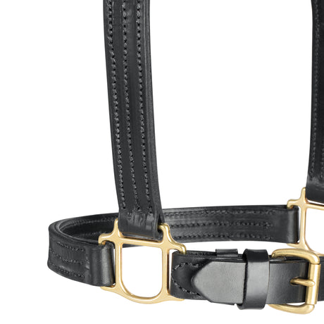 1" Triple Stitch Adjustable Leather Halter