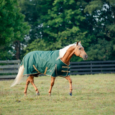 TURNOUT BLANKETS