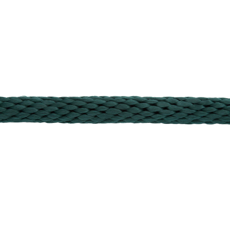 Mini/Pony Lead with Brass Snap