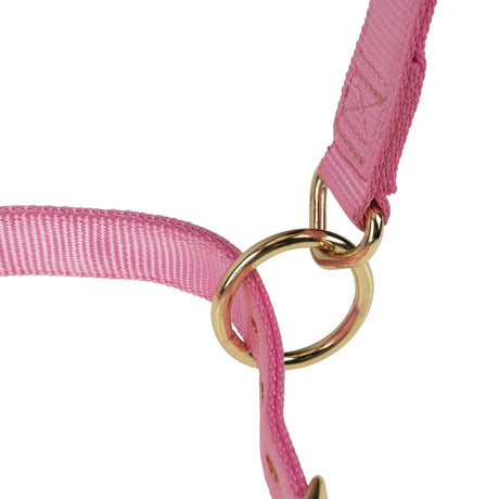 Poly Horse Halter, Adjustable, Weanling to Large