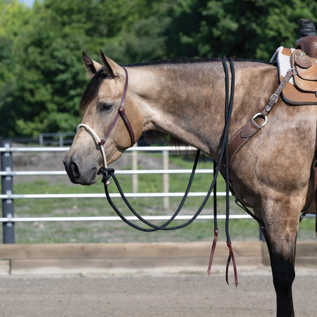 Loping Hackamore Leather Hanger/Rein