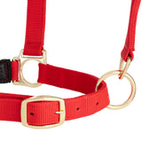 Padded Adjustable Chin and Throat Snap Halter, Solid Colors