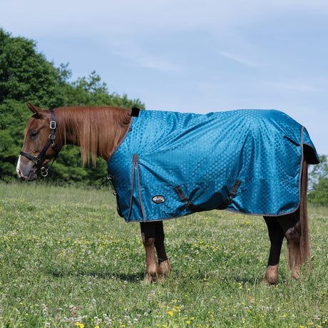 Premium Turnout Blanket, Heavy Weight 300g, 1200D