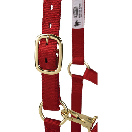 Poly Horse Halter, Adjustable, Weanling to Large