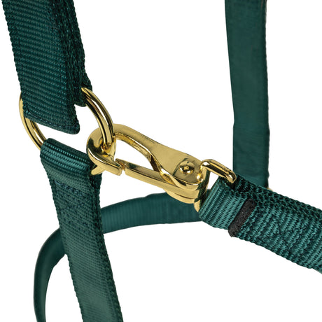 Poly Horse Halter, Adjustable, Weanling to Large