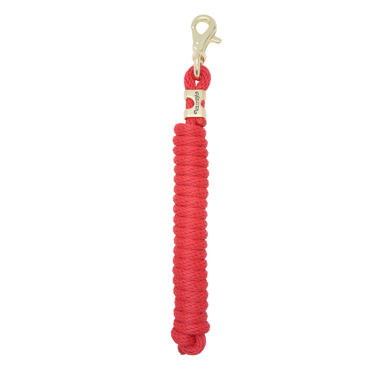 Poly Lead Rope with Brass Plated Bull Trigger Snap