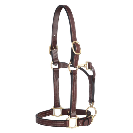 1" Triple Stitch Adjustable Leather Halter