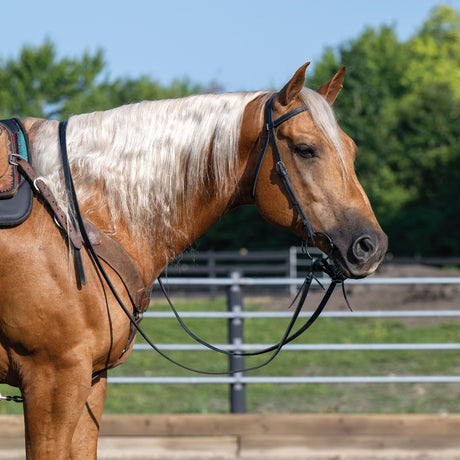 Black Leather Split Reins, 5/8" x 7'