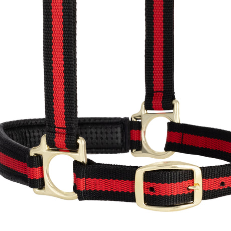 Padded Adjustable Chin and Throat Snap Halter, Striped