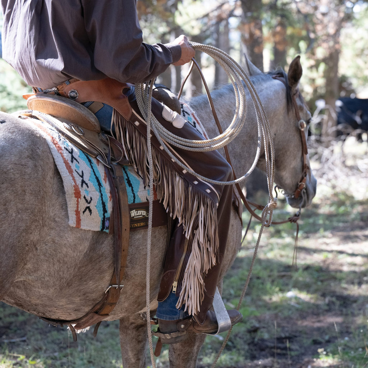 Premium Western Leather Chaps