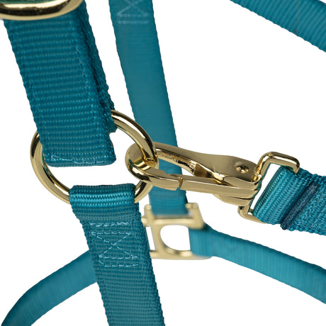 Poly Horse Halter, Non-Adjustable with Throat Snap, Weanling to Large