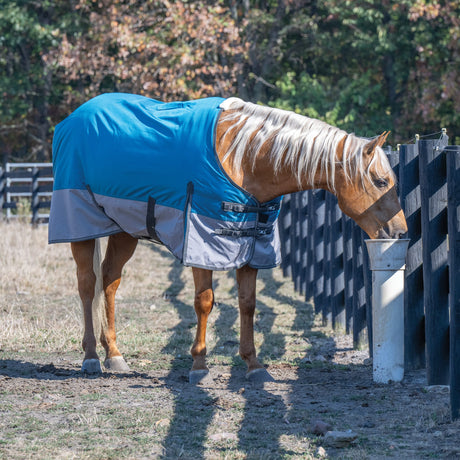 Premium Turnout Blanket, Medium Weight 200g, 600D