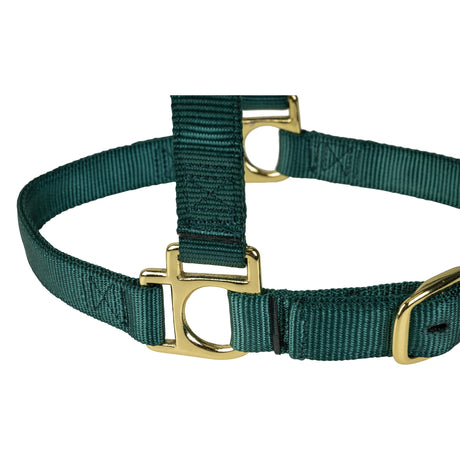 Poly Horse Halter, Adjustable, Weanling to Large
