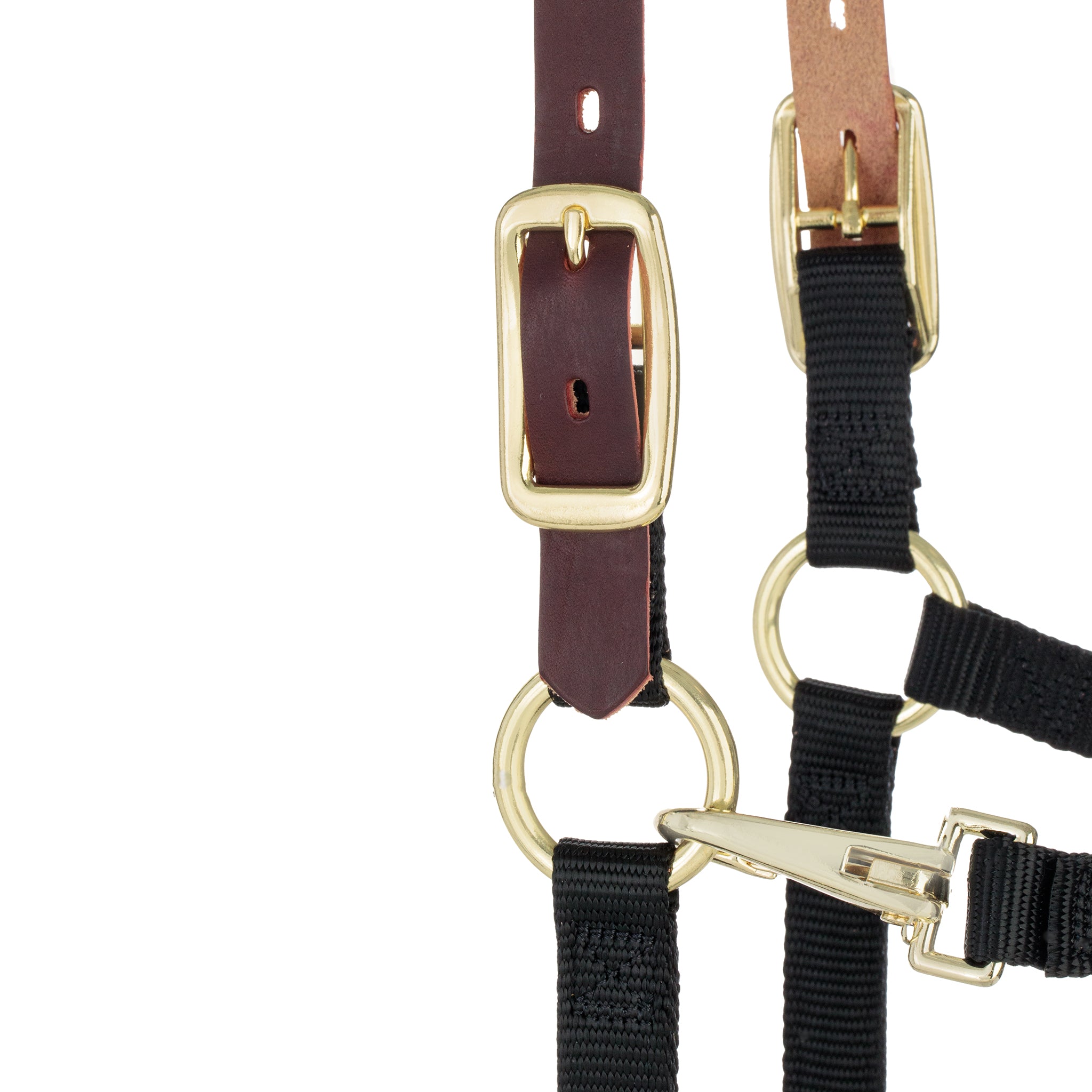 Breakaway Horse Halter with Chin and Throat Snap – Weaver Equine