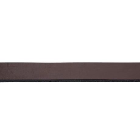 1" Single-Ply Horse Lead with 30" Brass Plated Chain