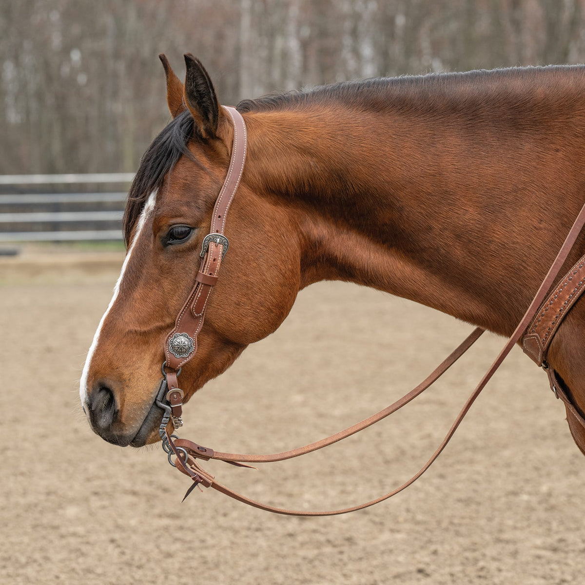 Contoured Sliding Ear Headstall