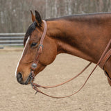 Contoured Sliding Ear Headstall