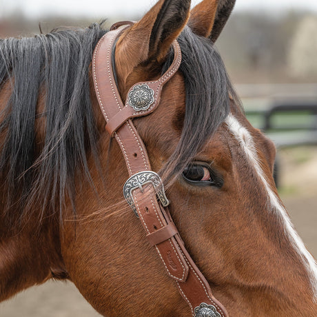 Contoured Sliding Ear Headstall