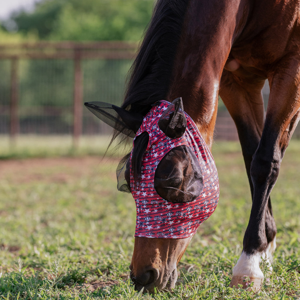 Equine Lycra® Fly Masks Powered by Coolcore®