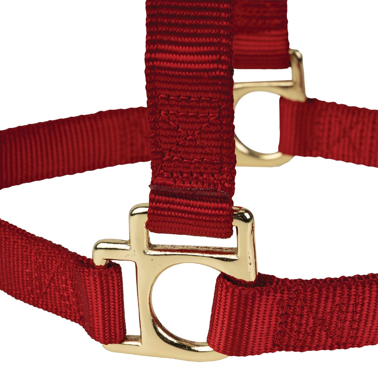 Poly Horse Halter, Non-Adjustable with Throat Snap, Weanling to Large
