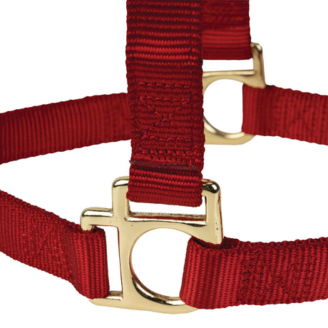 Poly Horse Halter, Non-Adjustable with Throat Snap, Weanling to Large