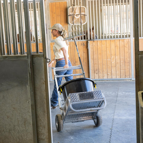 Rolling Barn Utility Muck Cart