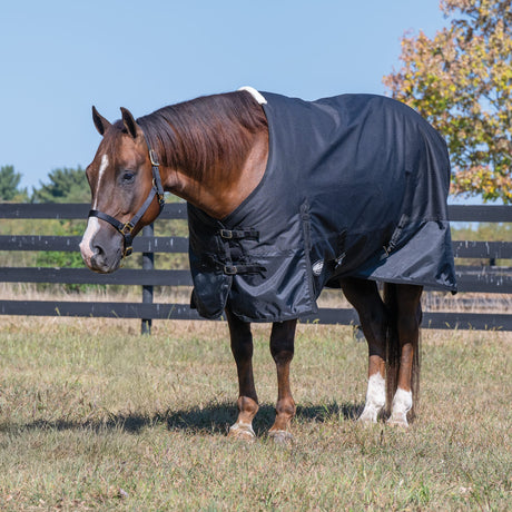Economy Winter Turnout Blanket, Heavy Weight, 300g, 1200D
