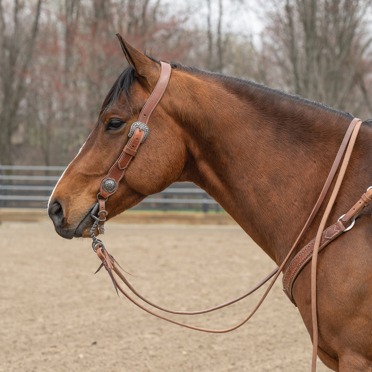 Contoured Sliding Ear Headstall