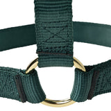 Poly Horse Halter, Non-Adjustable, Weanling to Large