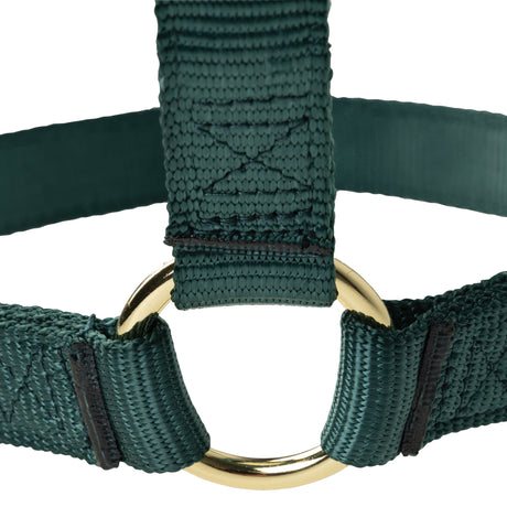 Poly Horse Halter, Non-Adjustable, Weanling to Large
