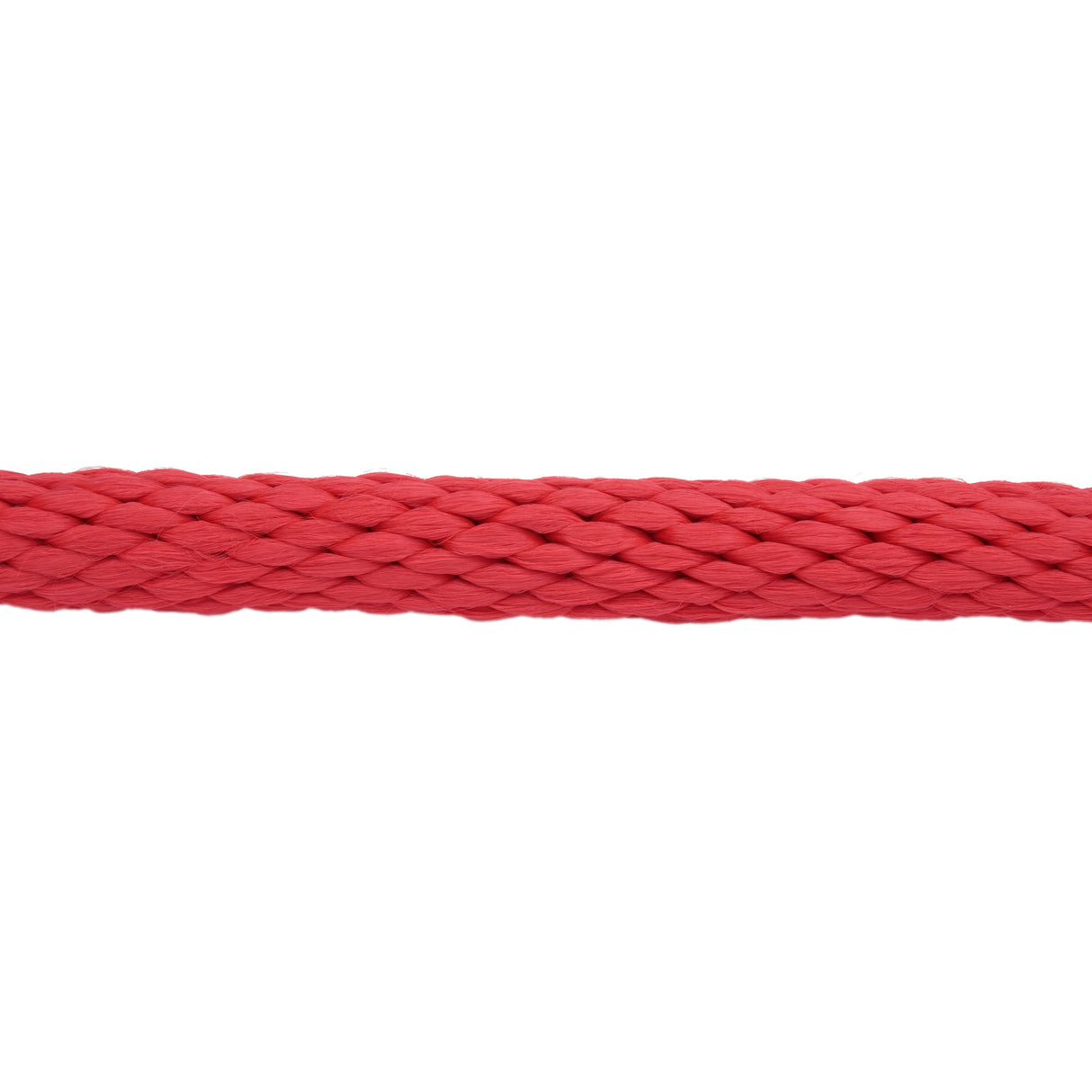 Poly Lead Rope with Brass Plated Bull Trigger Snap
