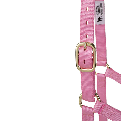 Poly Horse Halter, Non-Adjustable, Weanling to Large