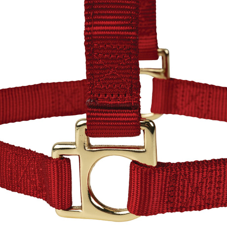 Poly Horse Halter, Non-Adjustable, Weanling to Large