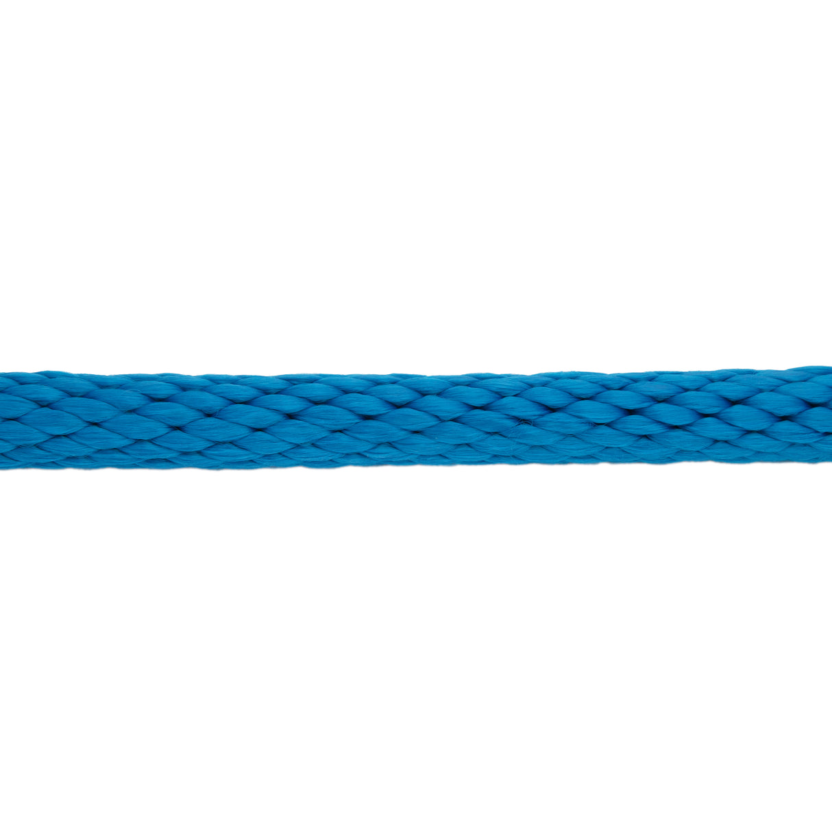 Poly Lead Rope with Brass Plated Bull Trigger Snap