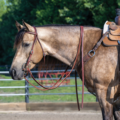 Extra Heavy Oiled Hermann Oak Harness Leather Split Reins, 8'